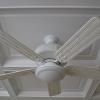 The Ceiling fan is located in the center coffered box.